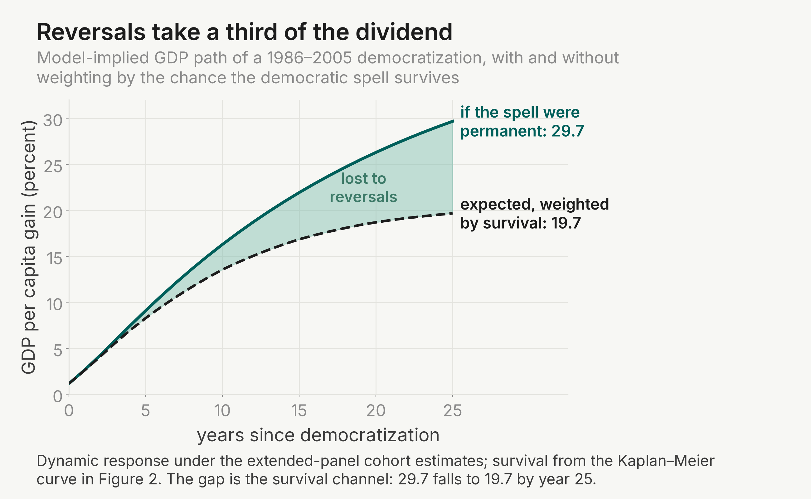 The model-implied GDP path of a 1986–2005 democratization: 29.7 percent by year 25 if the spell were permanent, 19.7 percent once weighted by survival